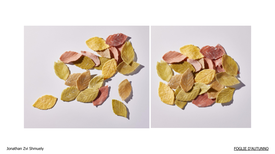 Piles of dry leaf pasta in autumn colours